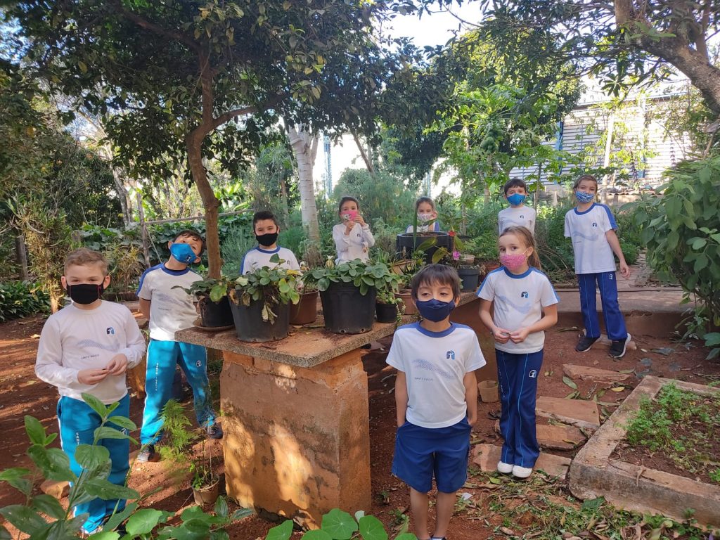 Estudando sobre as Plantas!