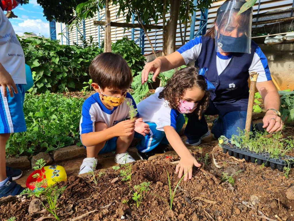 O plantio da horta na Educação Infantil