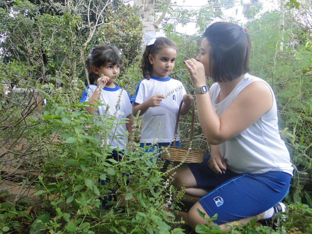 Caixas da Natureza